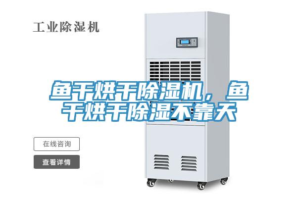 魚(yú)干烘干除濕機(jī)，魚(yú)干烘干除濕不靠天