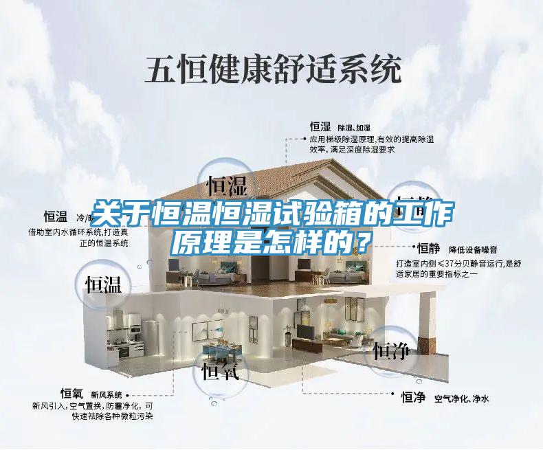 關(guān)于恒溫恒濕試驗(yàn)箱的工作原理是怎樣的？