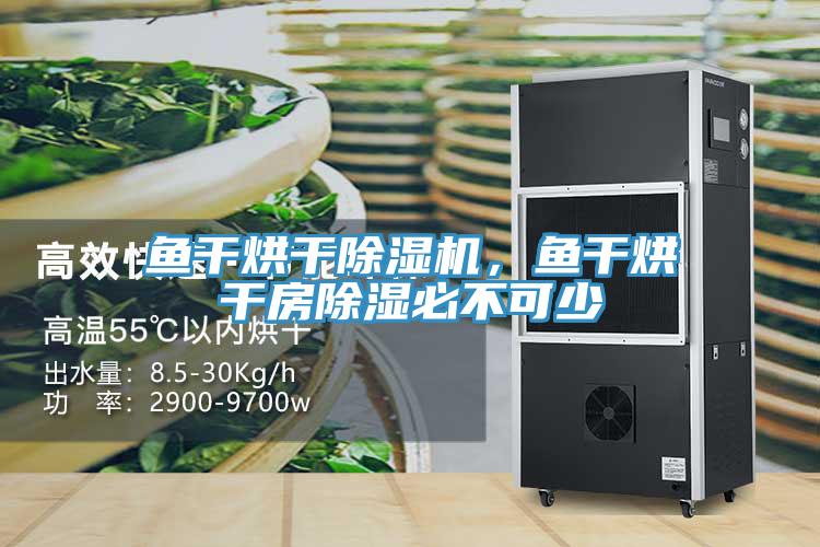 魚(yú)干烘干除濕機(jī)，魚(yú)干烘干房除濕必不可少