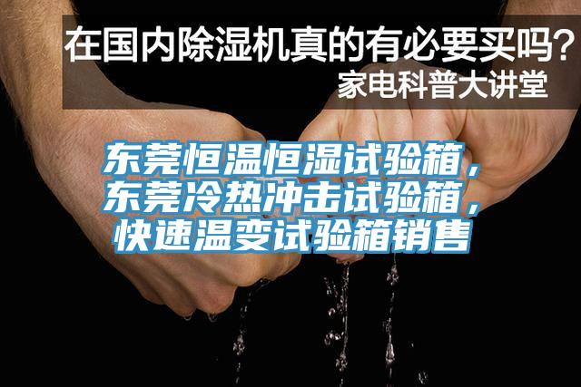 東莞恒溫恒濕試驗(yàn)箱，東莞冷熱沖擊試驗(yàn)箱，快速溫變?cè)囼?yàn)箱銷售