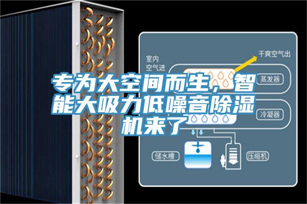 專為大空間而生，智能大吸力低噪音除濕機(jī)來(lái)了
