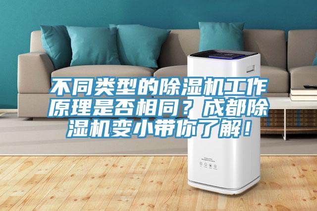 不同類型的除濕機工作原理是否相同？成都除濕機變小帶你了解！