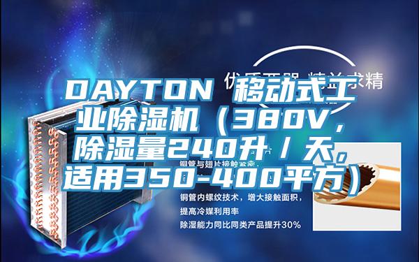DAYTON 移動(dòng)式工業(yè)除濕機(jī)（380V，除濕量240升／天，適用350-400平方）