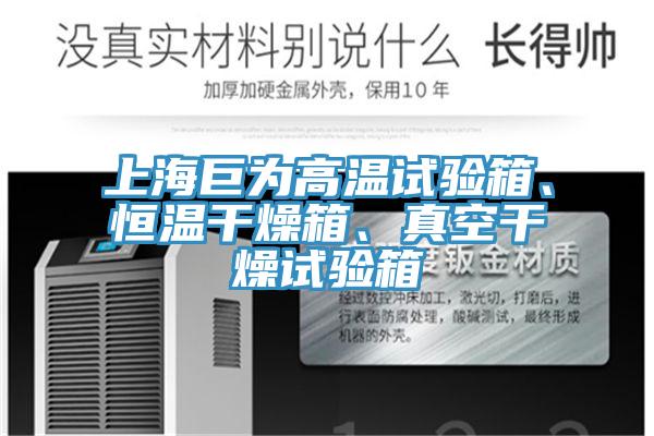 上海巨為高溫試驗(yàn)箱、恒溫干燥箱、真空干燥試驗(yàn)箱