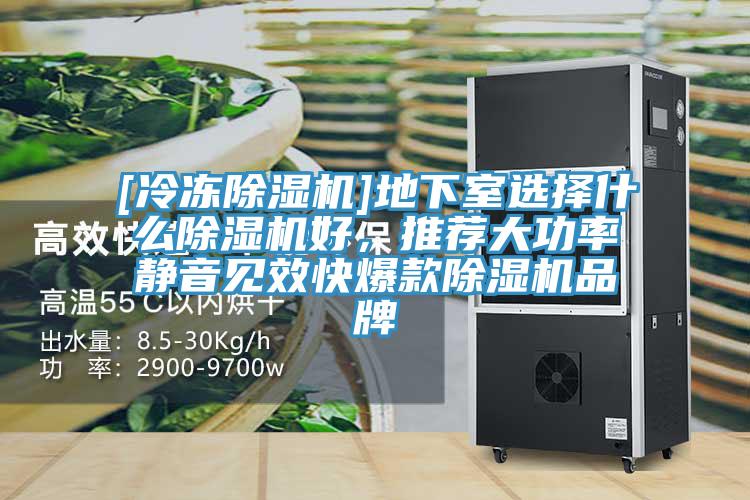 [冷凍除濕機]地下室選擇什么除濕機好，推薦大功率靜音見效快爆款除濕機品牌
