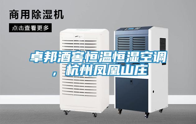 卓邦酒窖恒溫恒濕空調(diào)，杭州鳳凰山莊