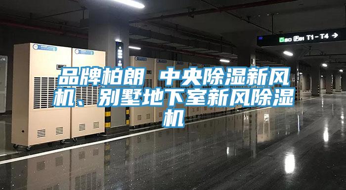 品牌柏朗 中央除濕新風(fēng)機(jī)、別墅地下室新風(fēng)除濕機(jī)