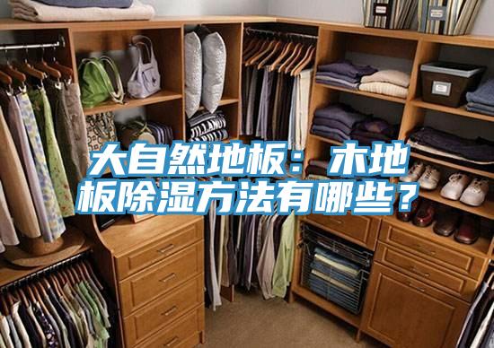 大自然地板：木地板除濕方法有哪些？