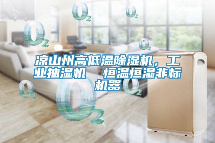 涼山州高低溫除濕機(jī)，工業(yè)抽濕機(jī)  恒溫恒濕非標(biāo)機(jī)器