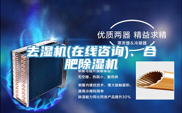 去濕機(jī)(在線咨詢)、合肥除濕機(jī)
