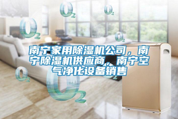 南寧家用除濕機(jī)公司，南寧除濕機(jī)供應(yīng)商，南寧空氣凈化設(shè)備銷售