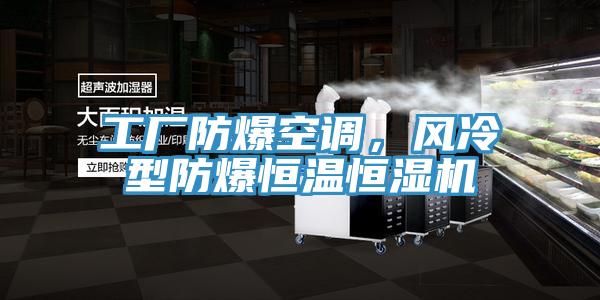 工廠(chǎng)防爆空調(diào)，風(fēng)冷型防爆恒溫恒濕機(jī)
