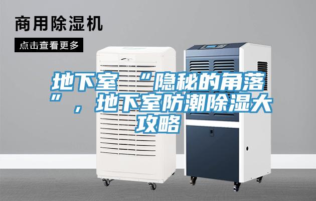 地下室≠“隱秘的角落”，地下室防潮除濕大攻略