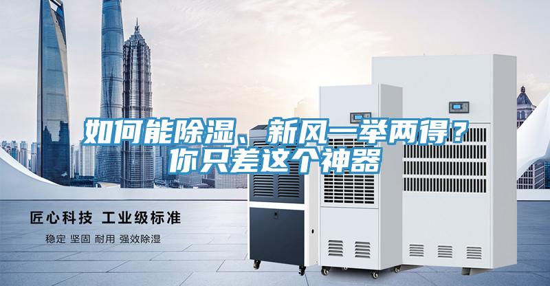 如何能除濕、新風(fēng)一舉兩得？你只差這個神器