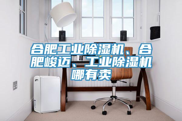 合肥工業(yè)除濕機、合肥峻邁、工業(yè)除濕機哪有賣