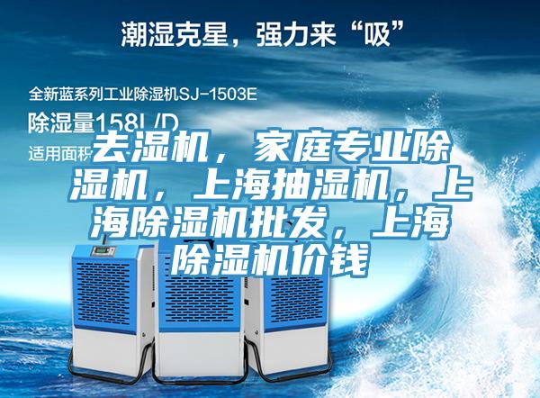 去濕機，家庭專業(yè)除濕機，上海抽濕機，上海除濕機批發(fā)，上海除濕機價錢