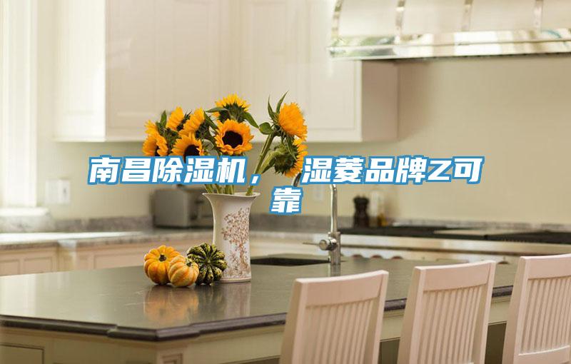 南昌除濕機， 濕菱品牌Z可靠