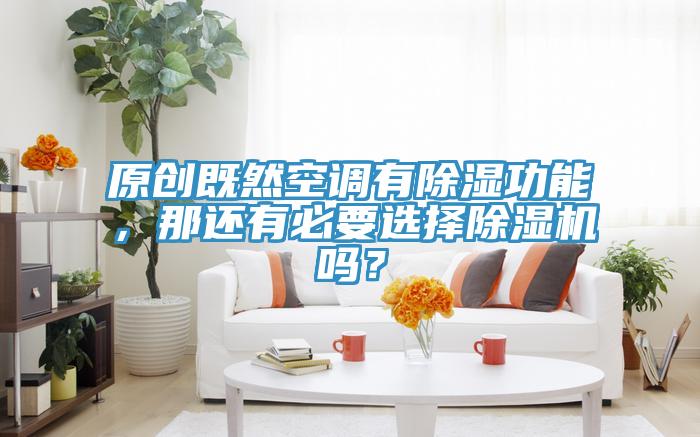 原創(chuàng)既然空調(diào)有除濕功能，那還有必要選擇除濕機(jī)嗎？
