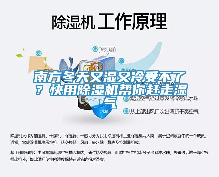 南方冬天又濕又冷受不了？快用除濕機(jī)幫你趕走濕氣
