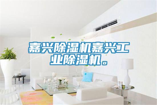 嘉興除濕機(jī)嘉興工業(yè)除濕機(jī)。