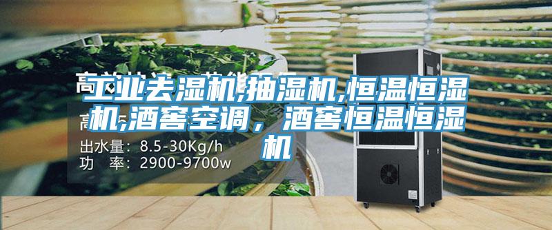 工業(yè)去濕機(jī),抽濕機(jī),恒溫恒濕機(jī),酒窖空調(diào)，酒窖恒溫恒濕機(jī)