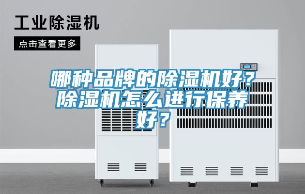 哪種品牌的除濕機好？除濕機怎么進行保養(yǎng)好？