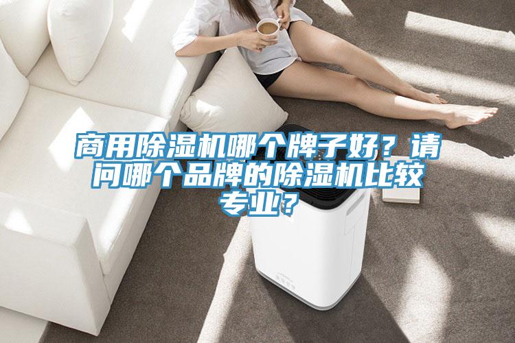 商用除濕機(jī)哪個(gè)牌子好？請(qǐng)問(wèn)哪個(gè)品牌的除濕機(jī)比較專(zhuān)業(yè)？