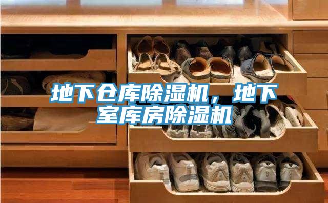 地下倉庫除濕機(jī)，地下室?guī)旆砍凉駲C(jī)