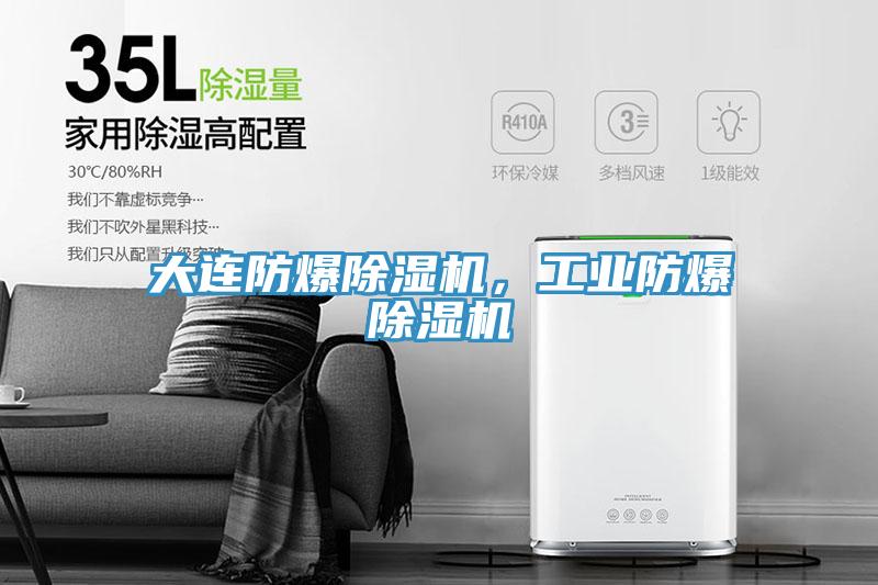 大連防爆除濕機，工業(yè)防爆除濕機