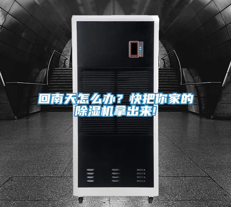 回南天怎么辦？快把你家的除濕機拿出來!
