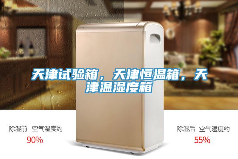 天津試驗(yàn)箱，天津恒溫箱，天津溫濕度箱