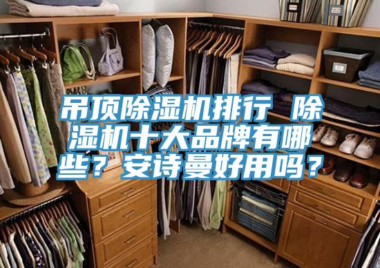 吊頂除濕機(jī)排行 除濕機(jī)十大品牌有哪些？安詩(shī)曼好用嗎？