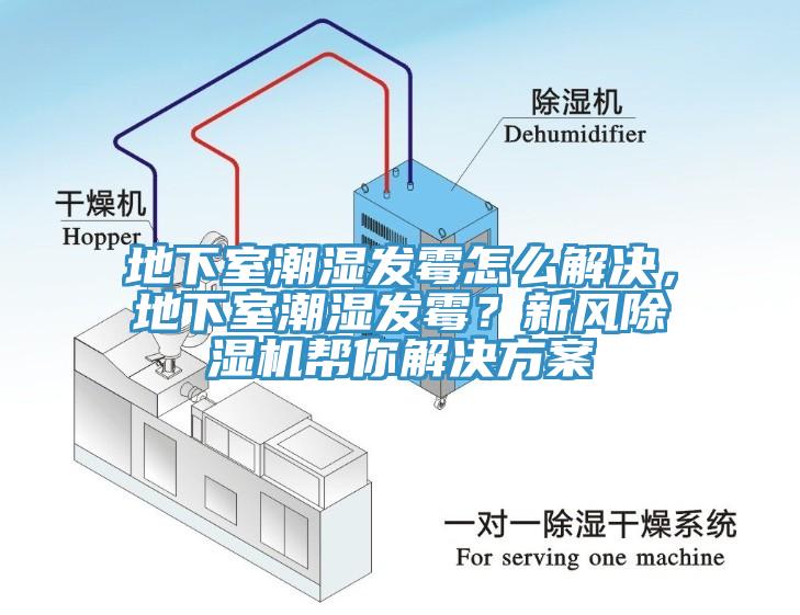 地下室潮濕發(fā)霉怎么解決，地下室潮濕發(fā)霉？新風除濕機幫你解決方案