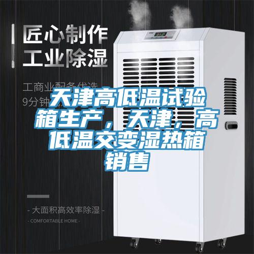 天津高低溫試驗箱生產(chǎn)，天津，高低溫交變濕熱箱銷售