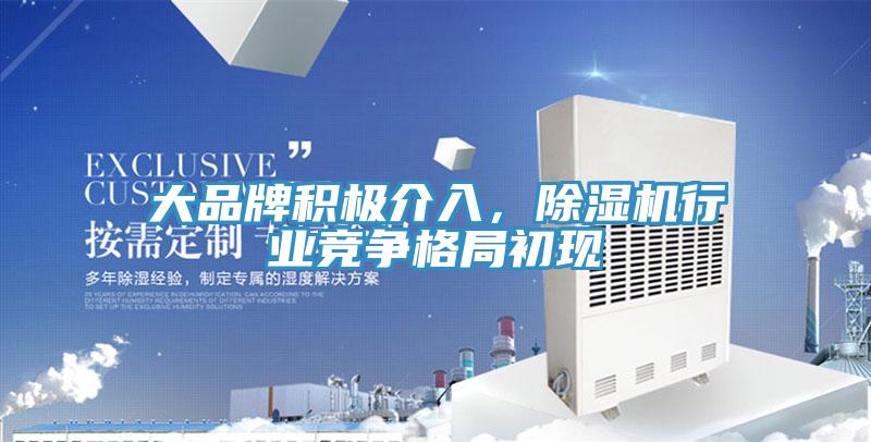 大品牌積極介入，除濕機(jī)行業(yè)競爭格局初現(xiàn)