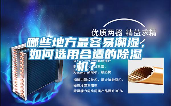 哪些地方最容易潮濕，如何選用合適的除濕機(jī)？