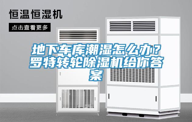 地下車庫潮濕怎么辦？羅特轉(zhuǎn)輪除濕機(jī)給你答案
