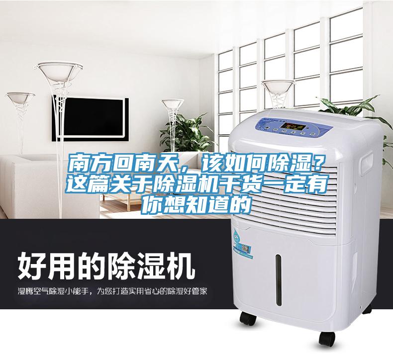 南方回南天，該如何除濕？這篇關(guān)于除濕機(jī)干貨一定有你想知道的