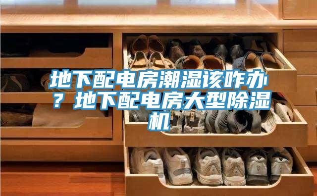 地下配電房潮濕該咋辦？地下配電房大型除濕機