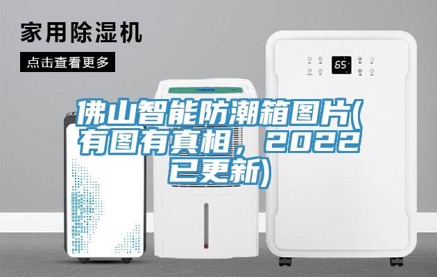 佛山智能防潮箱圖片(有圖有真相，2022已更新)