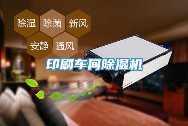印刷車(chē)間除濕機(jī)