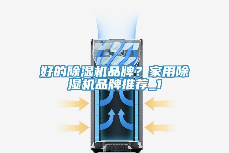 好的除濕機(jī)品牌？家用除濕機(jī)品牌推薦_1