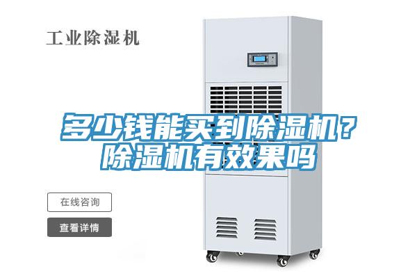 多少錢能買到除濕機？除濕機有效果嗎