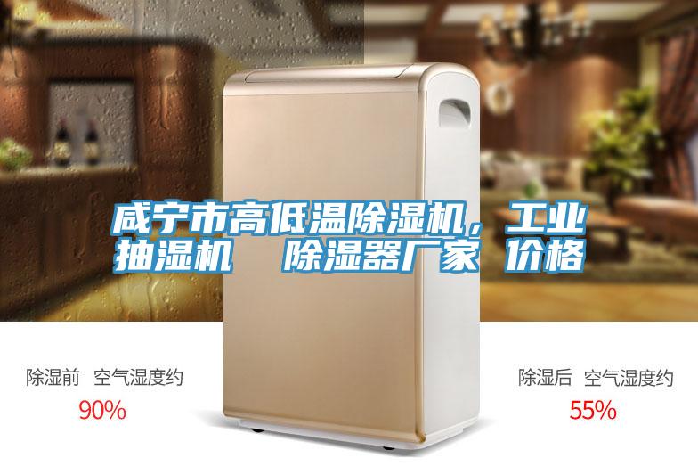 咸寧市高低溫除濕機，工業(yè)抽濕機  除濕器廠家 價格