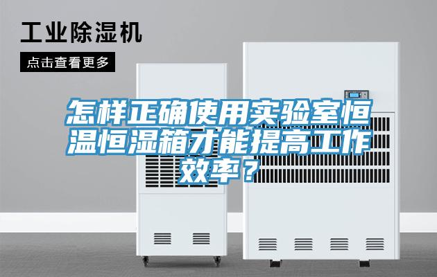 怎樣正確使用實驗室恒溫恒濕箱才能提高工作效率？