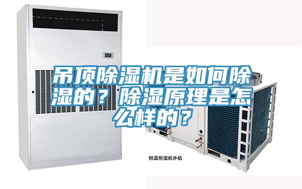 吊頂除濕機(jī)是如何除濕的？除濕原理是怎么樣的？