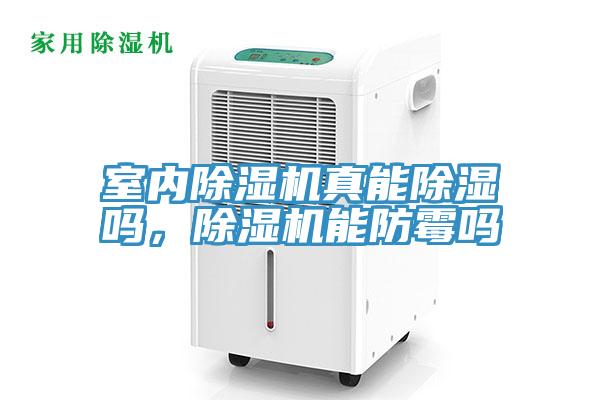 室內(nèi)除濕機真能除濕嗎，除濕機能防霉嗎