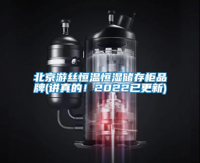 北京游絲恒溫恒濕儲存柜品牌(講真的！2022已更新)