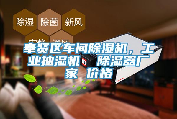 奉賢區(qū)車間除濕機(jī)，工業(yè)抽濕機(jī)  除濕器廠家 價(jià)格
