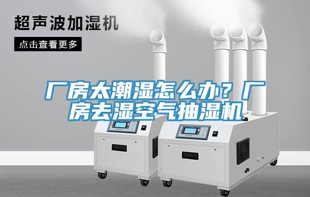 廠房太潮濕怎么辦？廠房去濕空氣抽濕機
